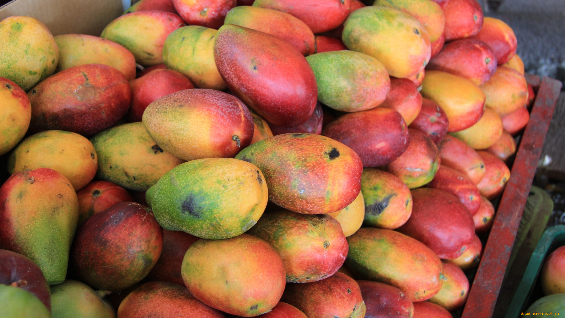 еда, манго, много