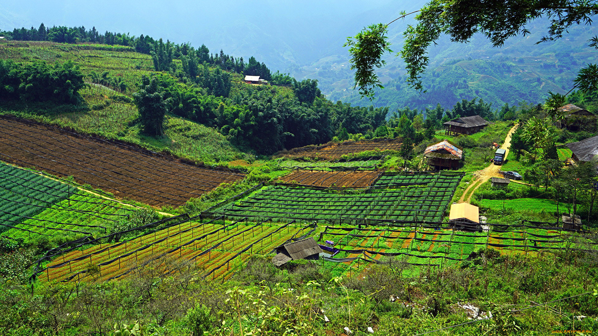 города, -, панорамы, деревушка