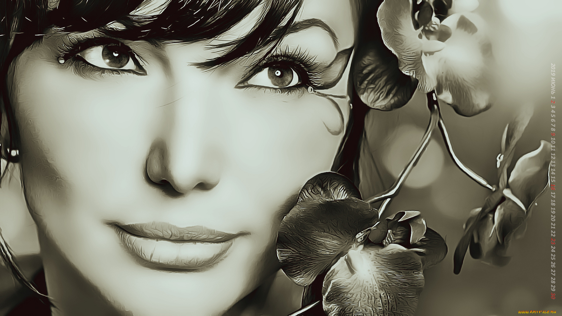 календари, компьютерный, дизайн, цветок, девушка, лицо, взгляд, 2019, calendar, женщина