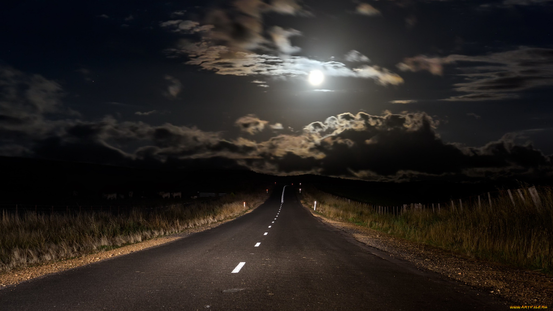 природа, дороги, луна, ночь, дорога