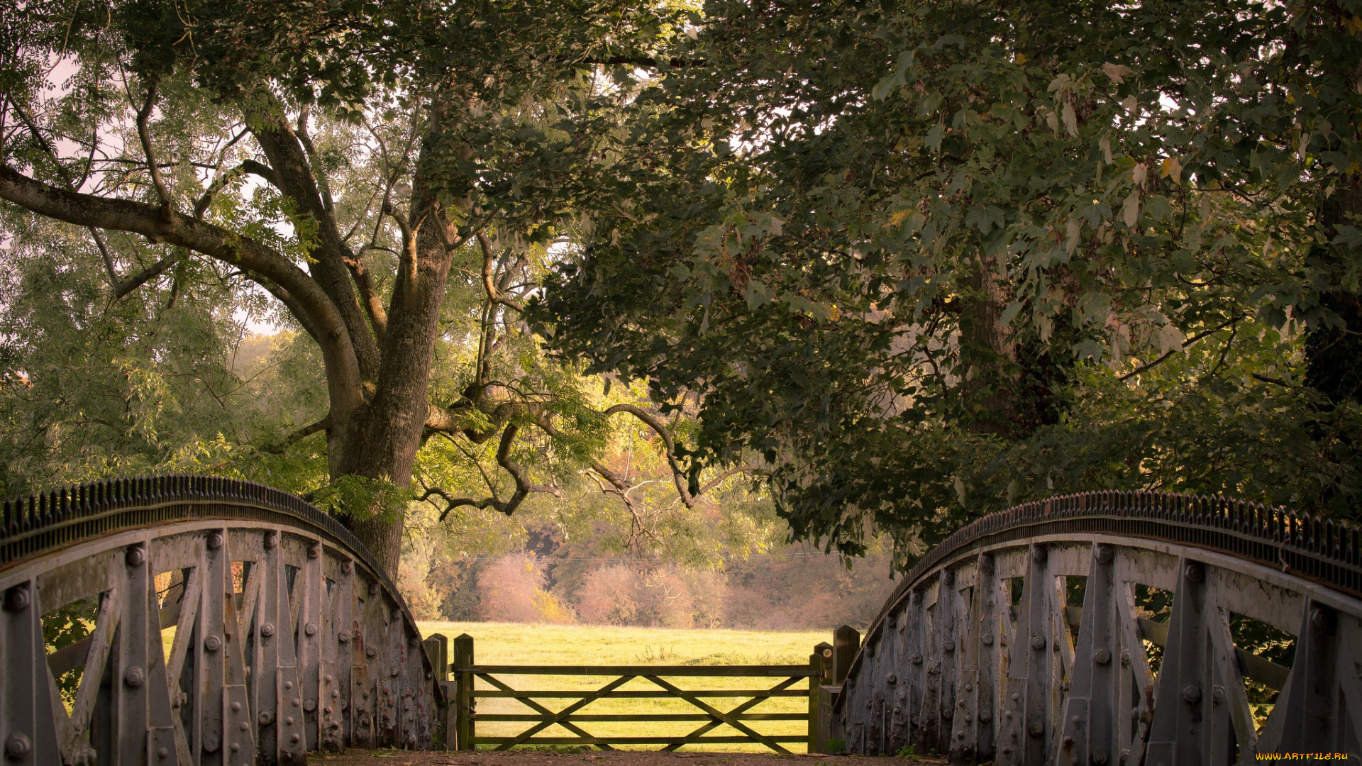 природа, парк, cookham, lock