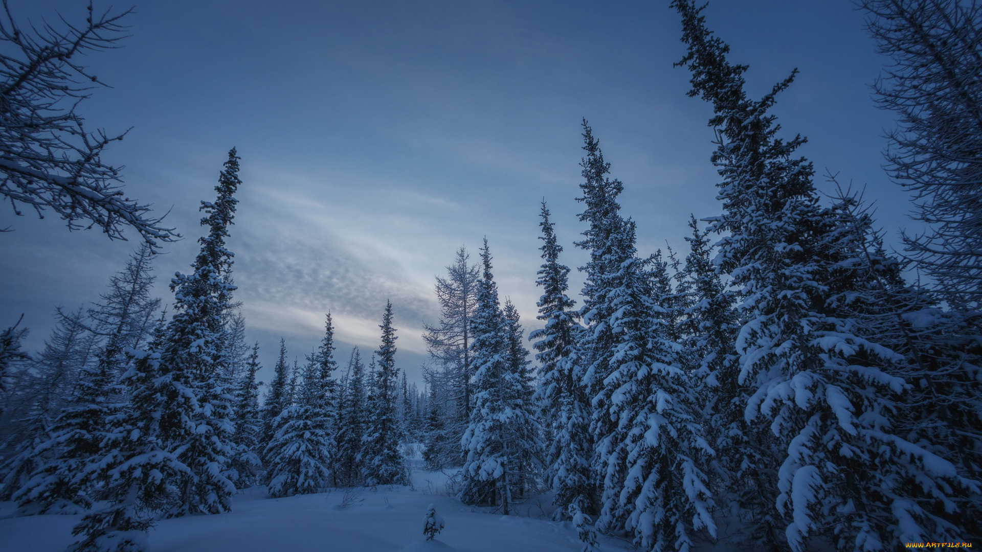 природа, зима, ямал, россия