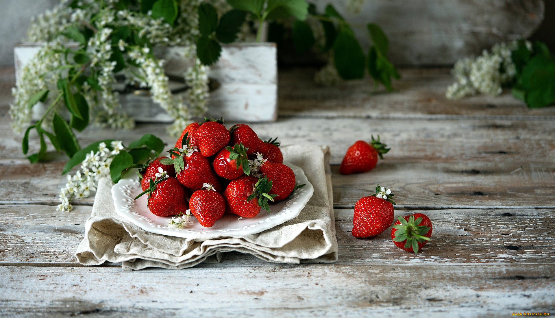 еда, клубника, , земляника, черемуха