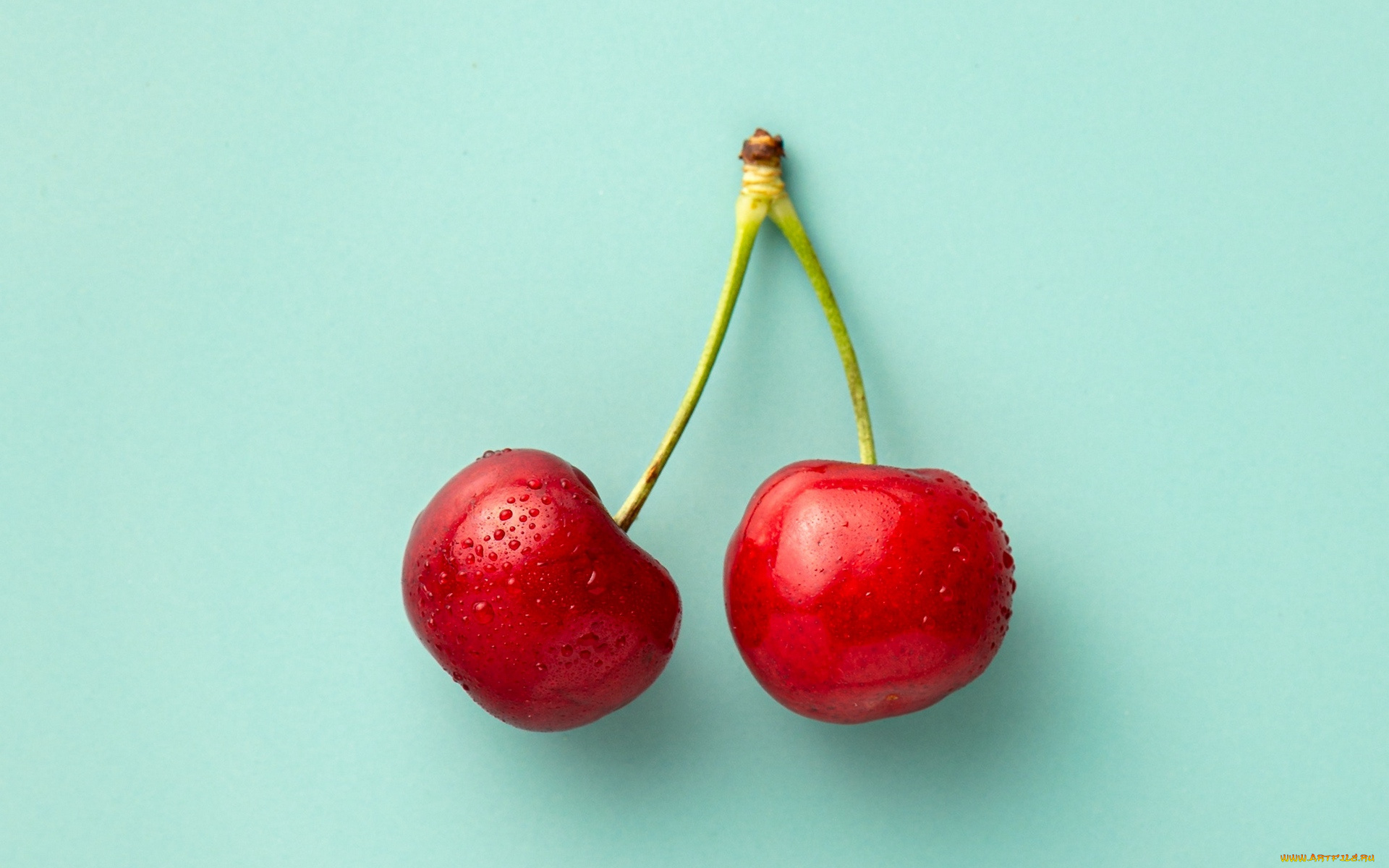 еда, вишня, , черешня, дуэт