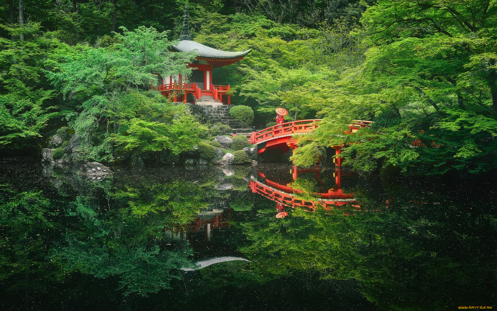 природа, парк, садик, японский