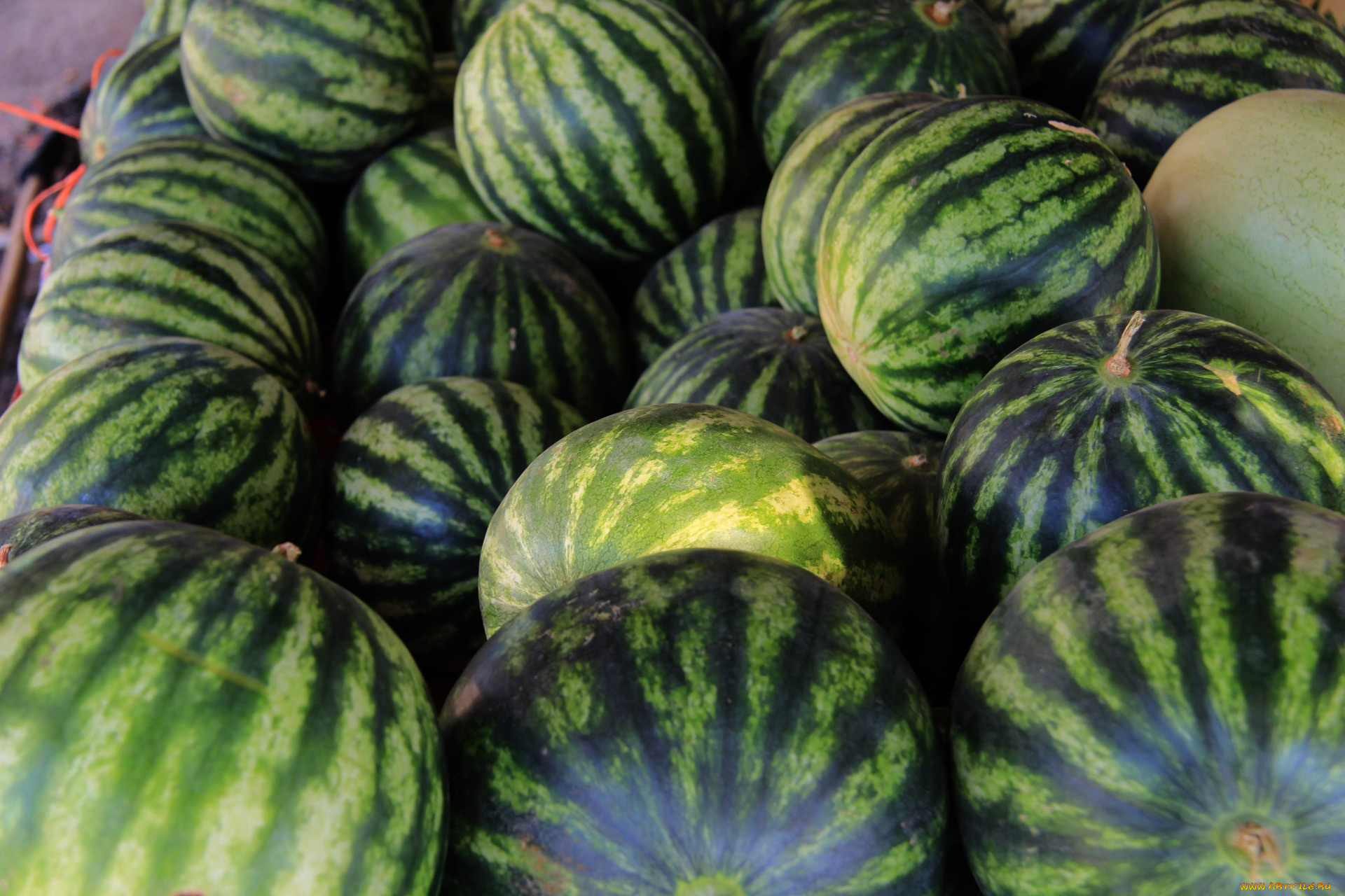 еда, арбуз, много