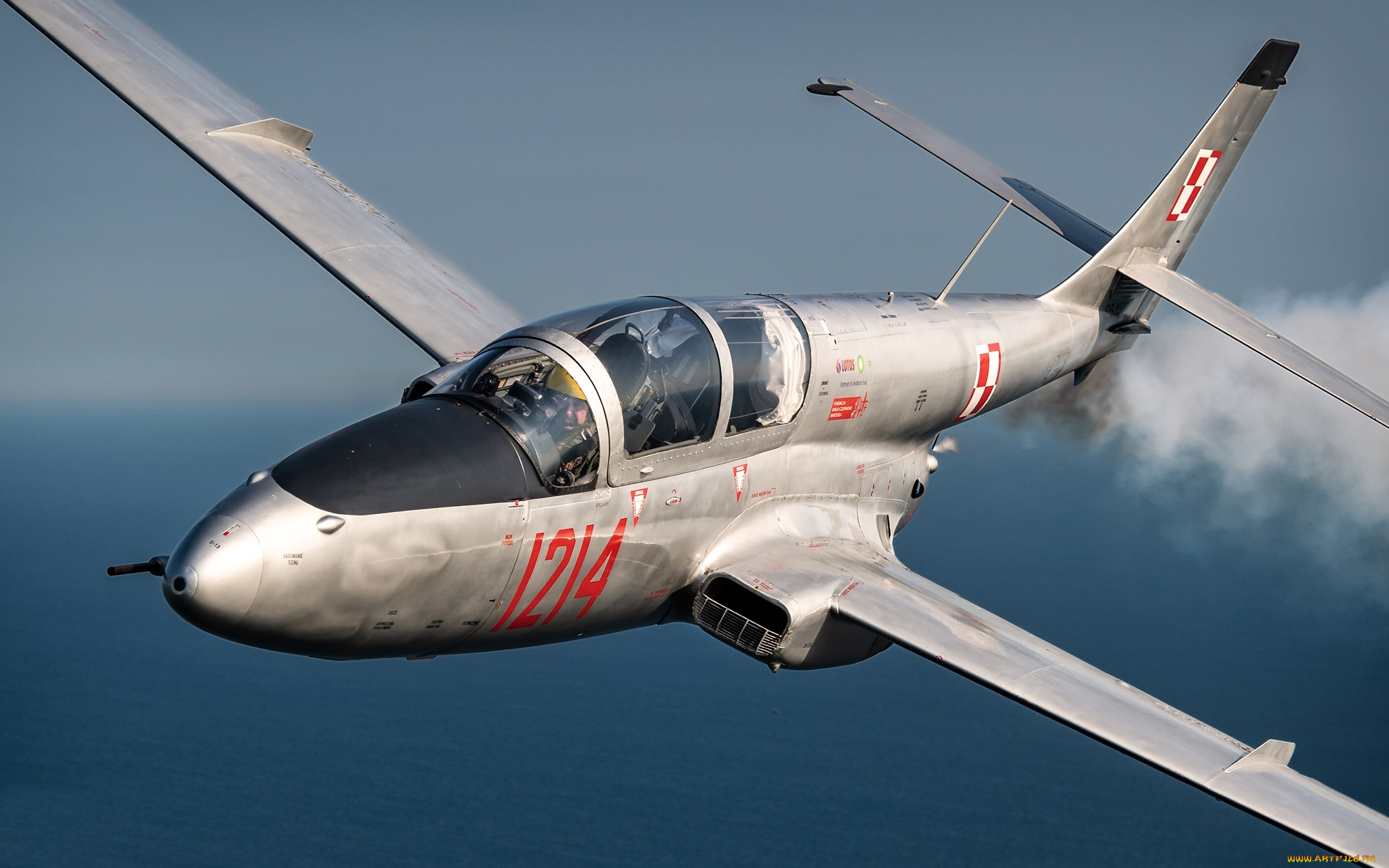 авиация, боевые, самолёты, pzl, ts-11, iskra, самолёт