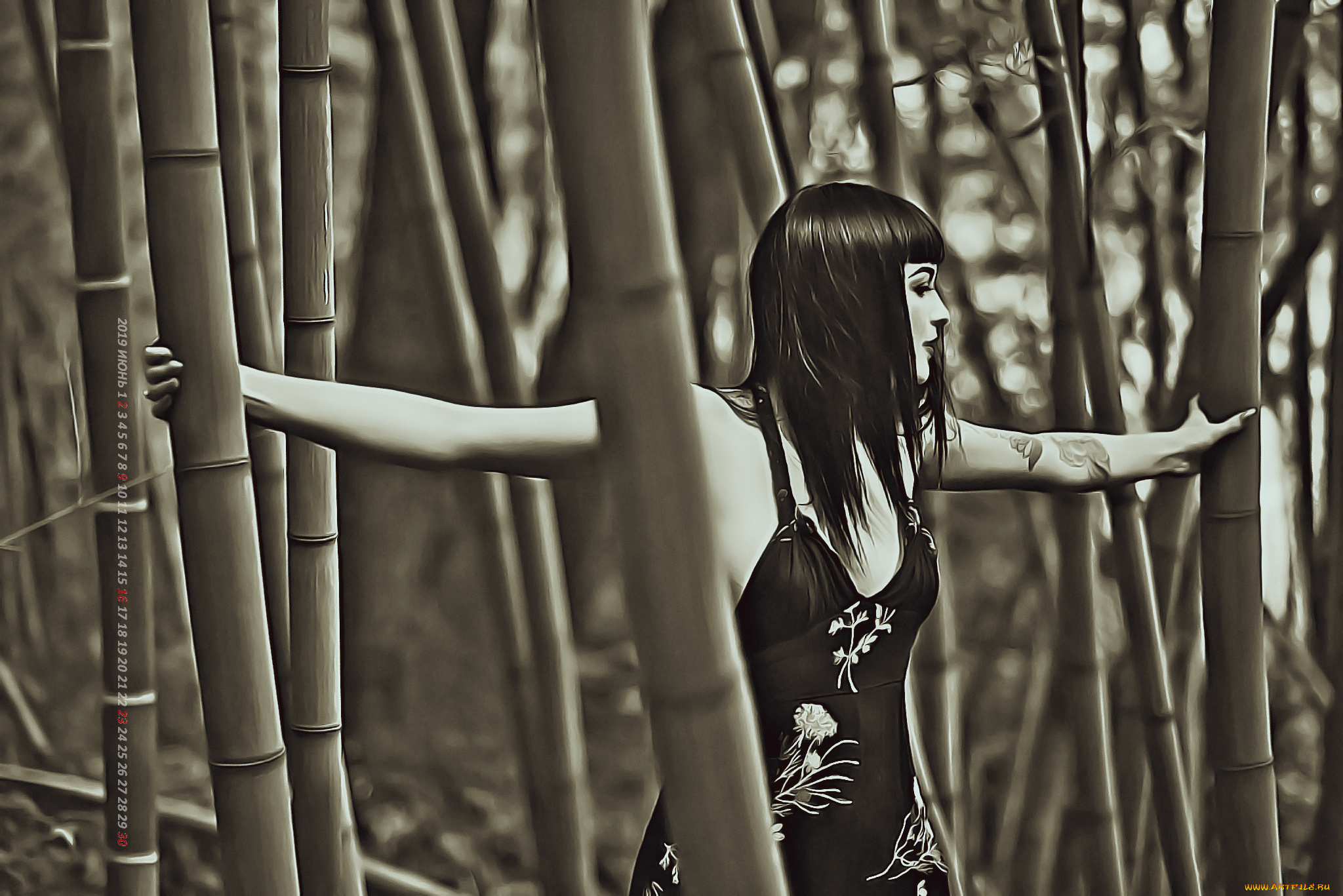 календари, компьютерный, дизайн, бамбук, растение, женщина, девушка, тату, профиль, 2019, calendar