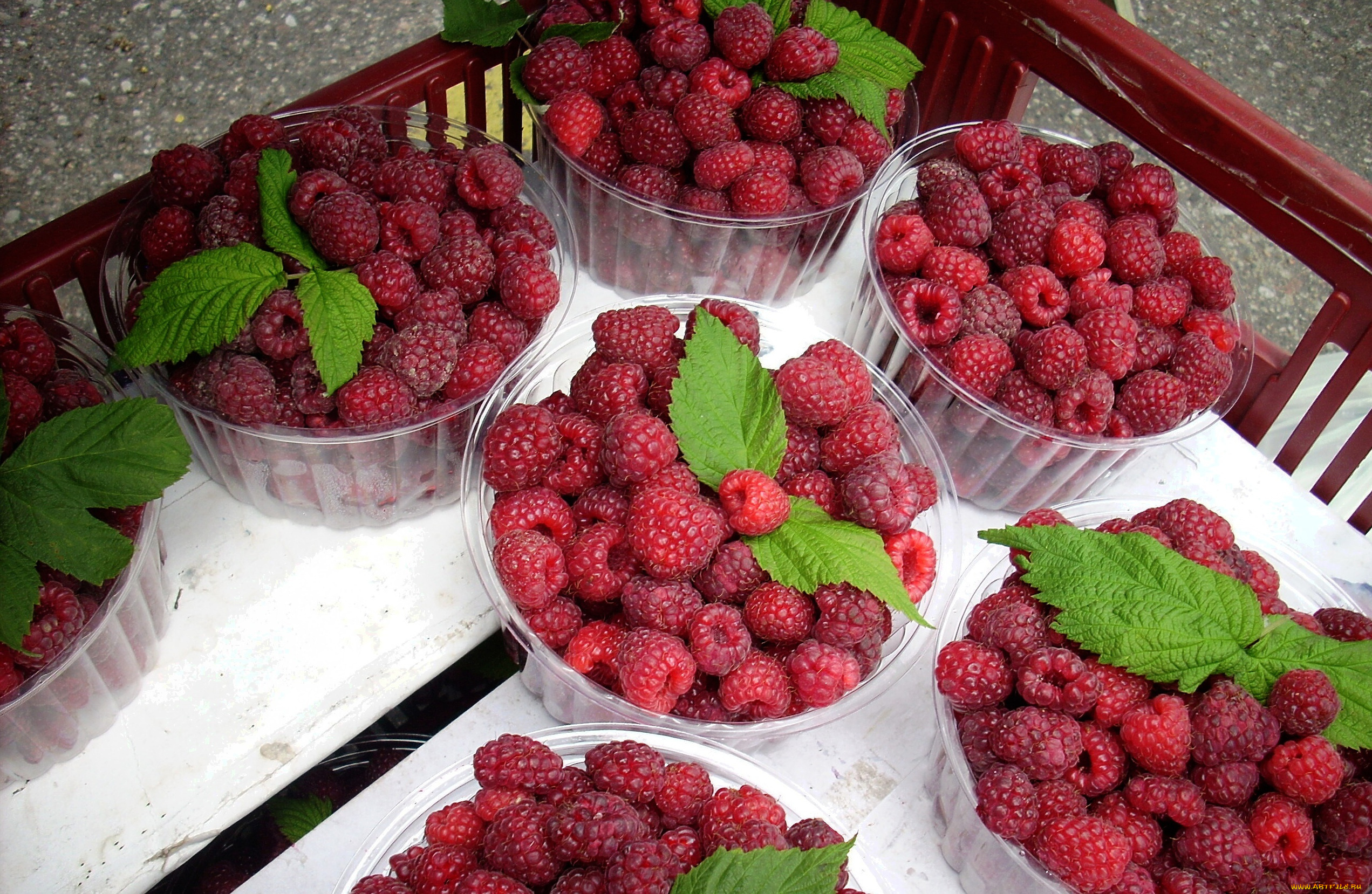 еда, малина