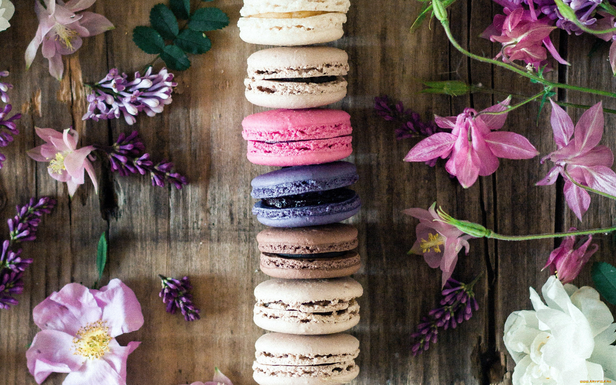 еда, макаруны, сирень, аквилегия, лакомство