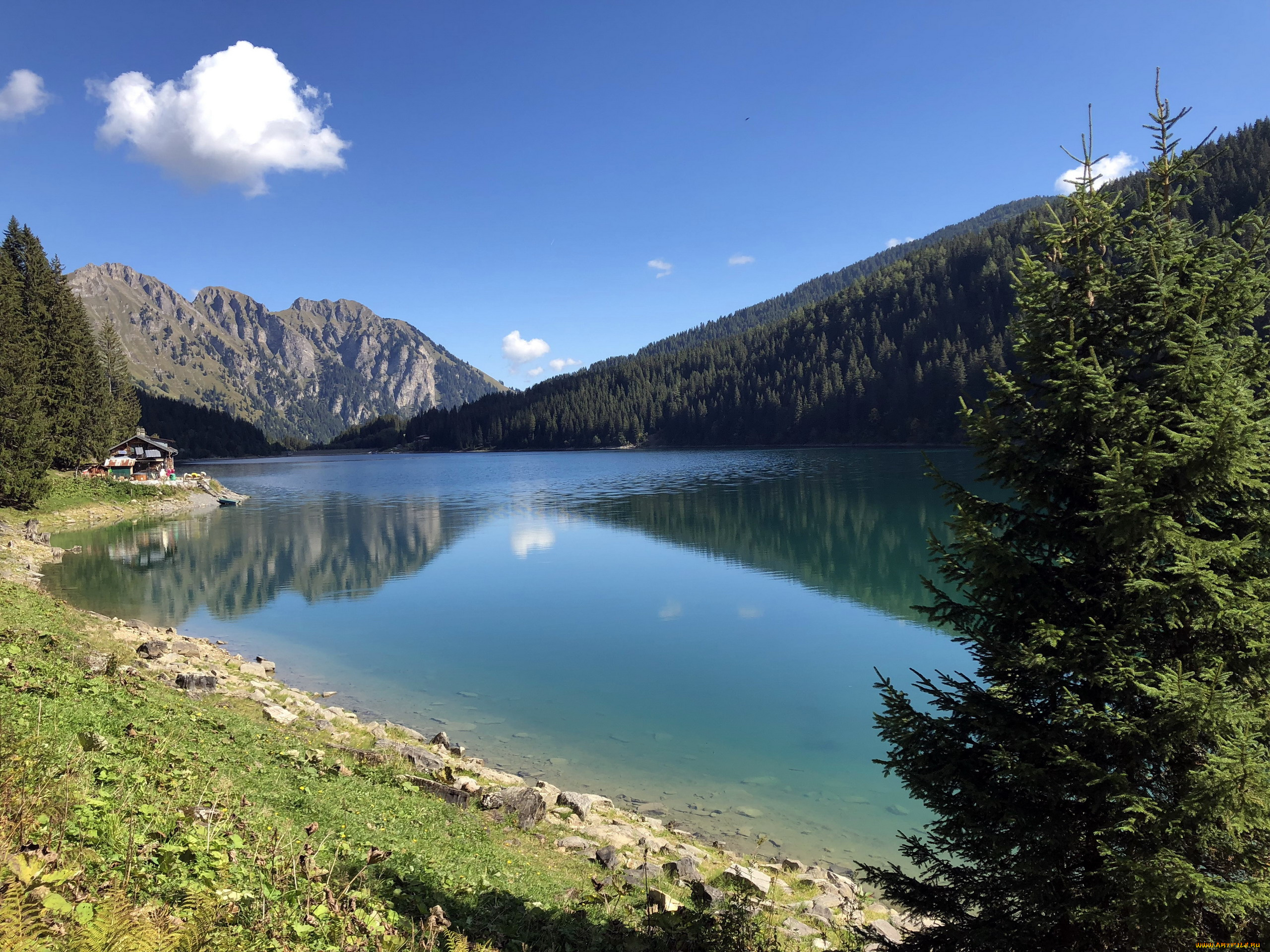 природа, реки, озера, отражение, река, облако