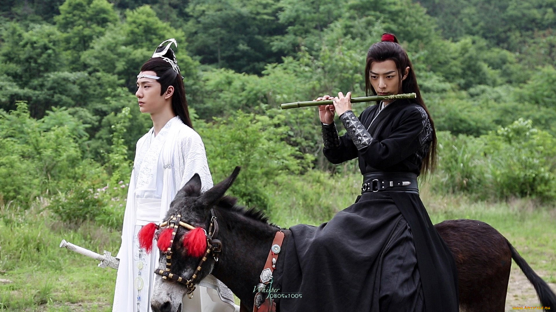 кино, фильмы, the, untamed, лань, ванцзи, вэй, усянь, ослик, флейта