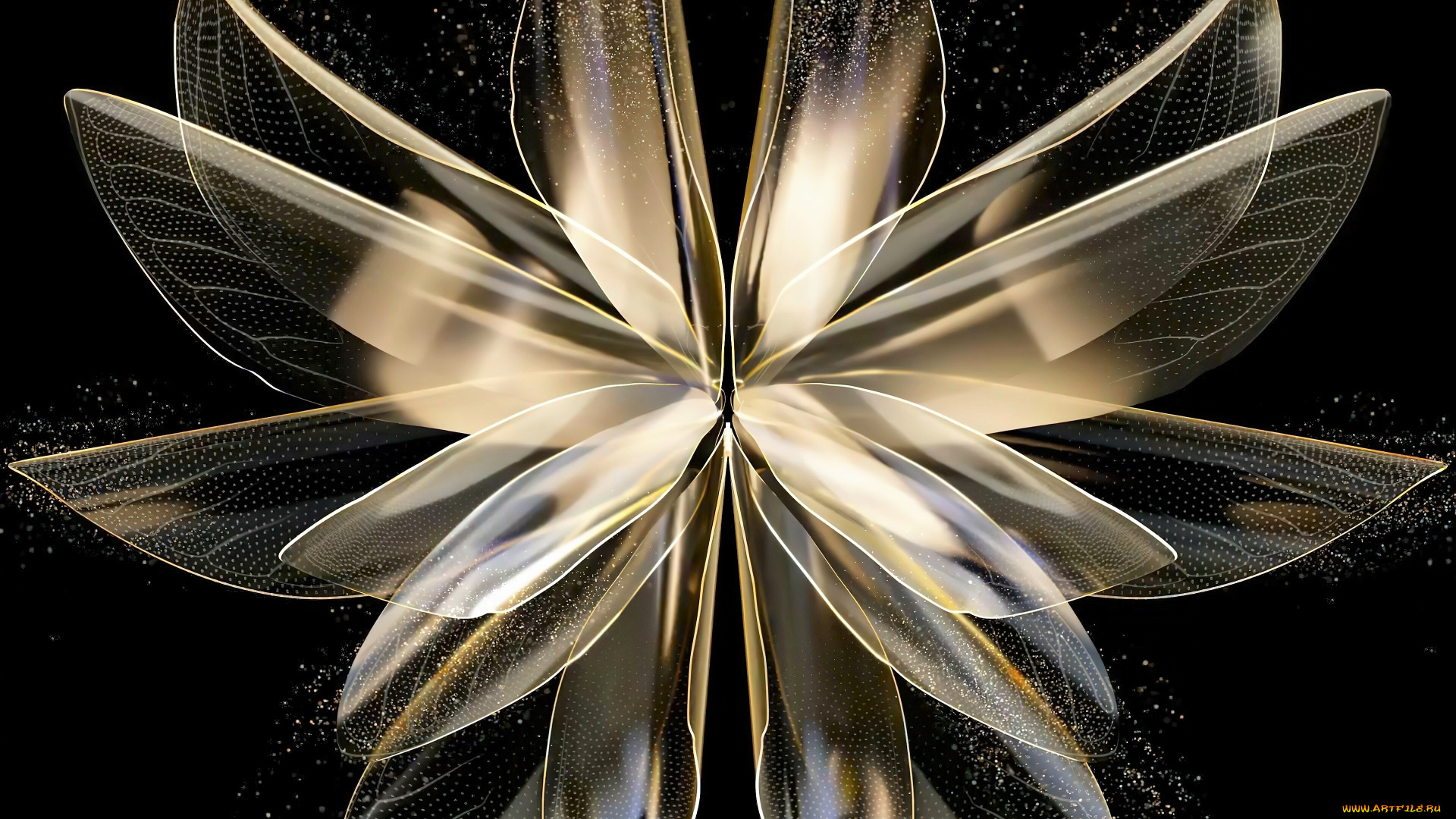 3д, графика, цветы, , flowers, цветок, лепестки, крылья, пыльца