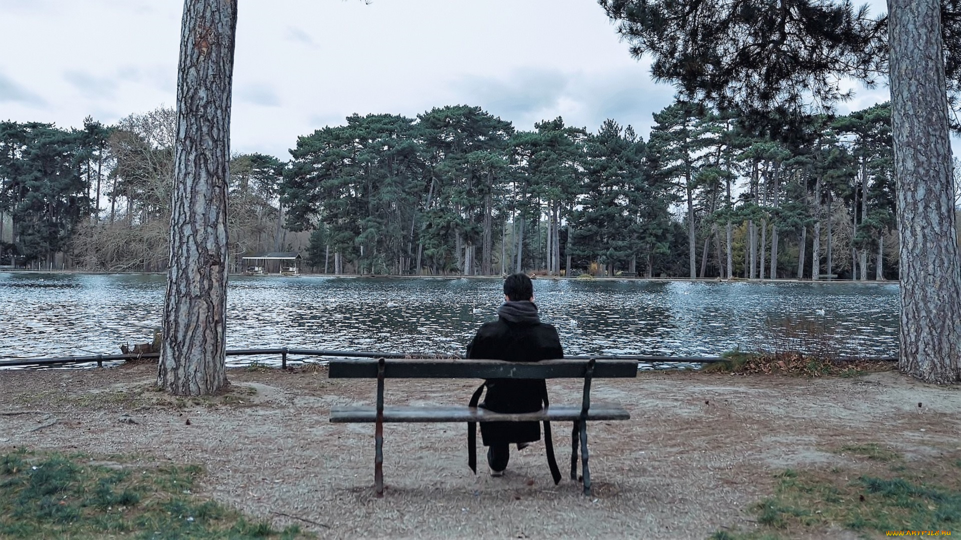 мужчины, xiao, zhan, актер, пальто, шарф, скамейка, озеро