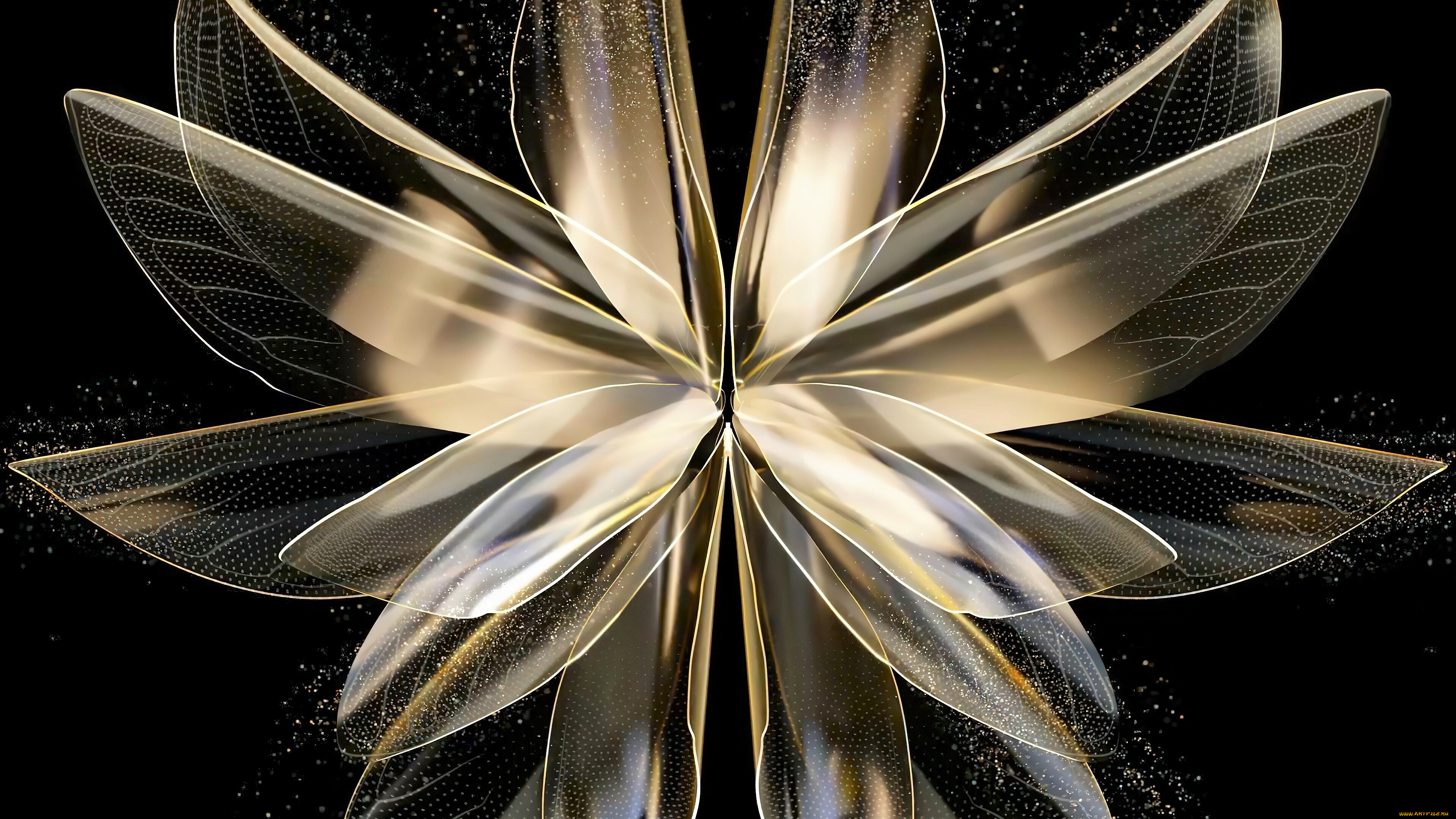 3д, графика, цветы, , flowers, цветок, лепестки, крылья, пыльца