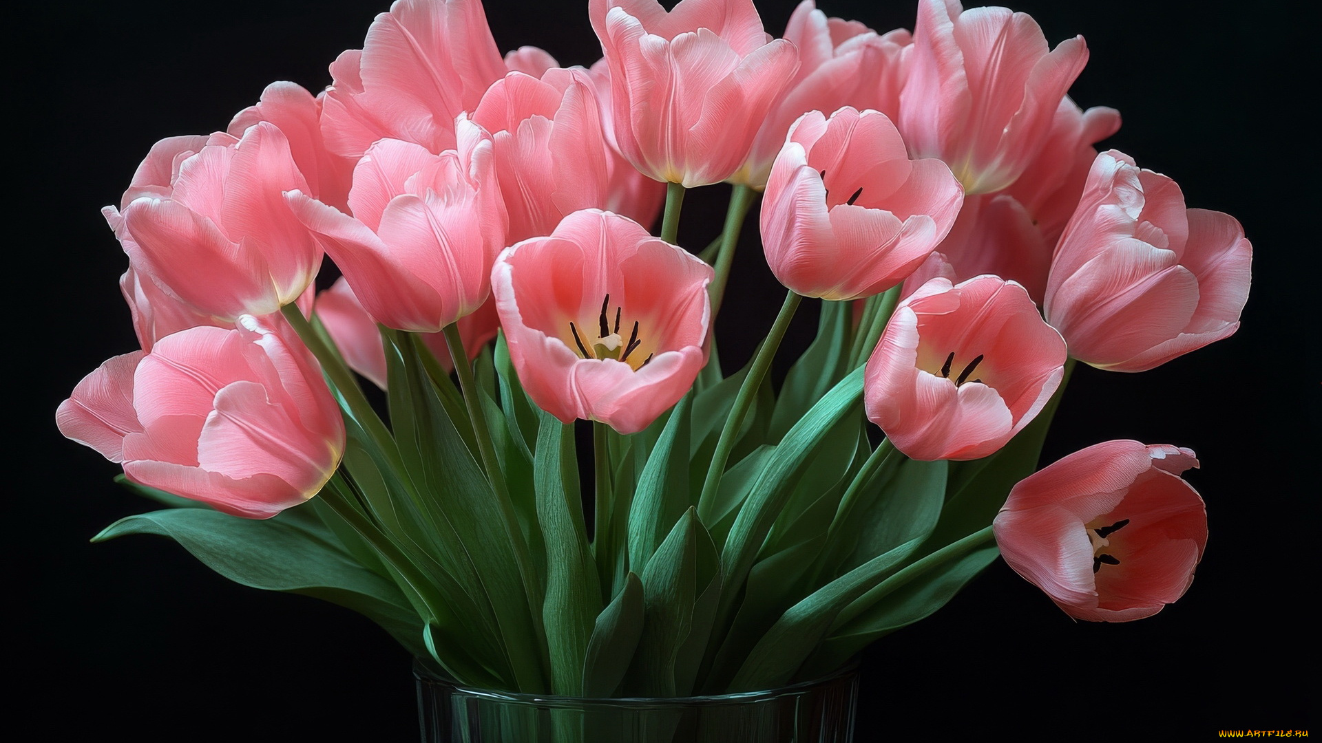 3д, графика, цветы, , flowers, розовые, тюльпаны