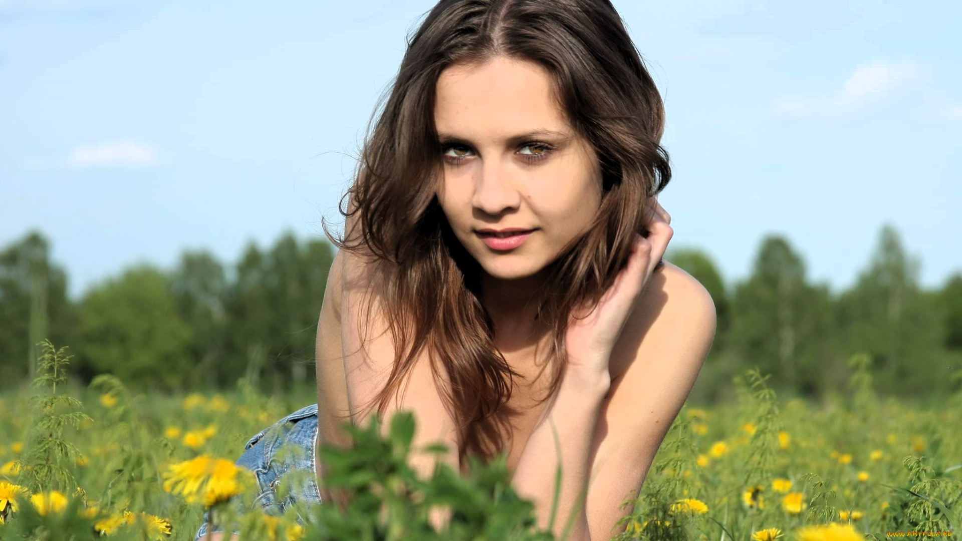 девушки, -, брюнетки, , шатенки, шатенка, шорты, луг, трава, цветы