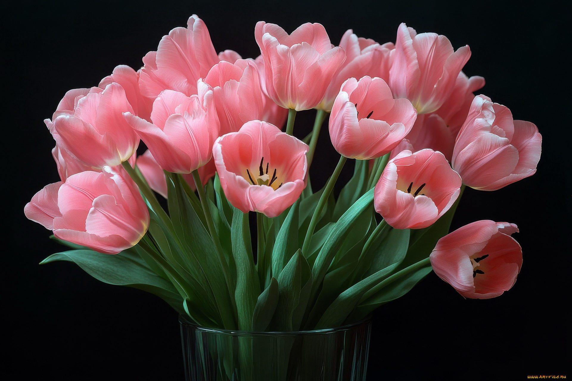 3д, графика, цветы, , flowers, розовые, тюльпаны