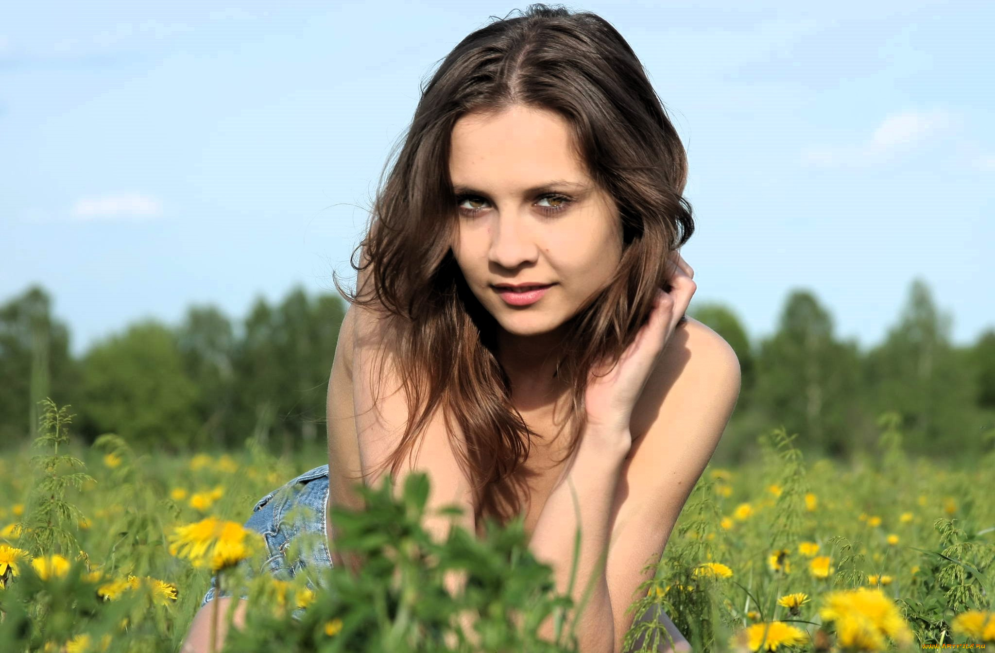 девушки, -, брюнетки, , шатенки, шатенка, шорты, луг, трава, цветы