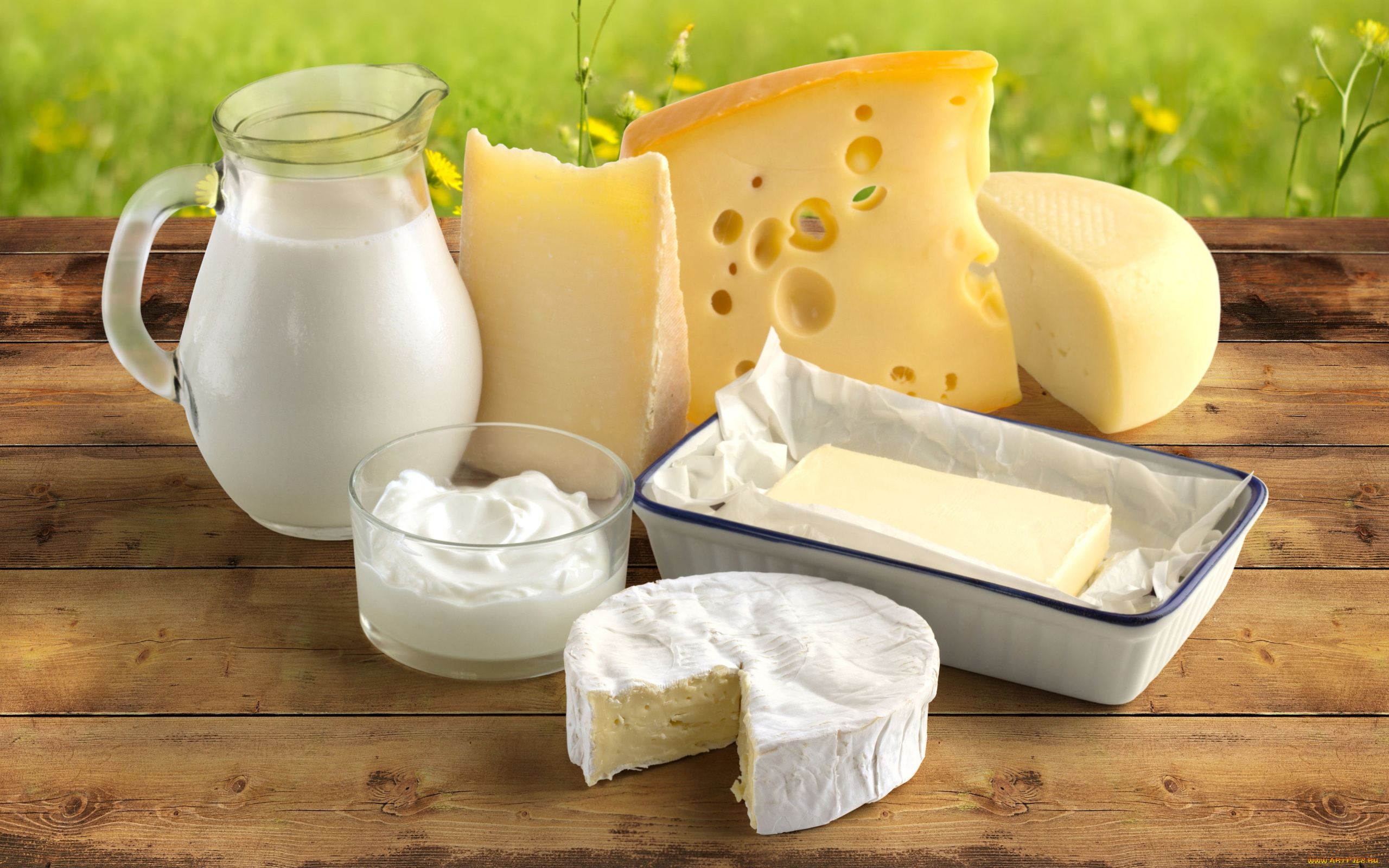 еда, масло, , молочные, продукты, молоко, сметана, сыр