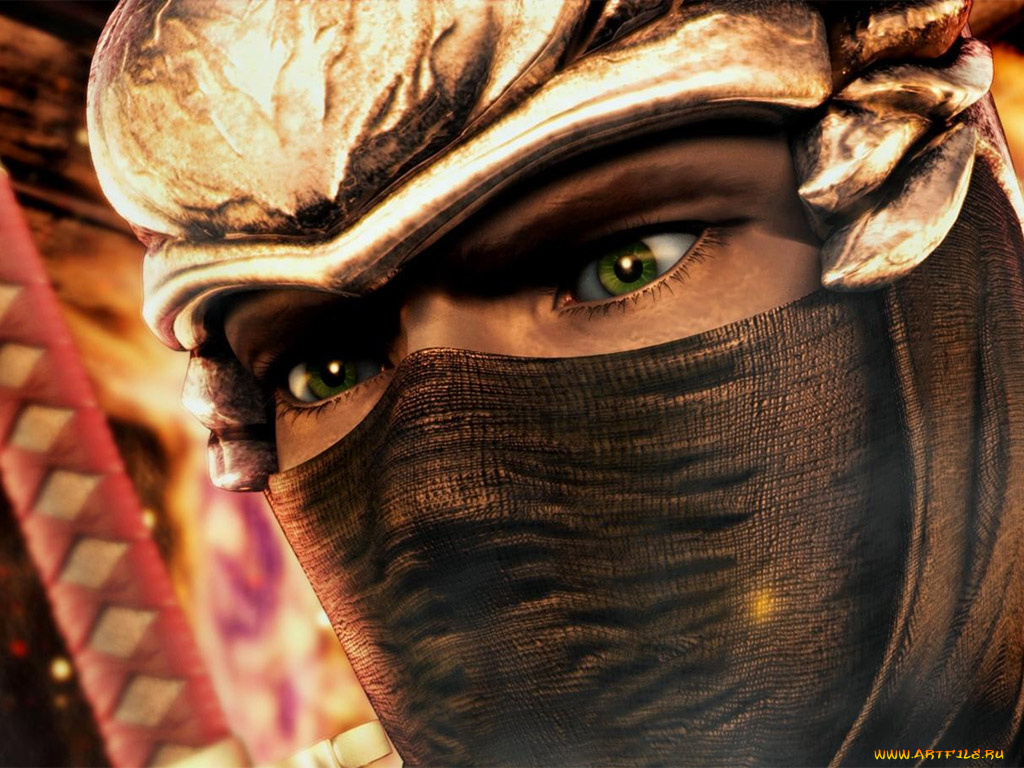 ninja, gaiden, видео, игры