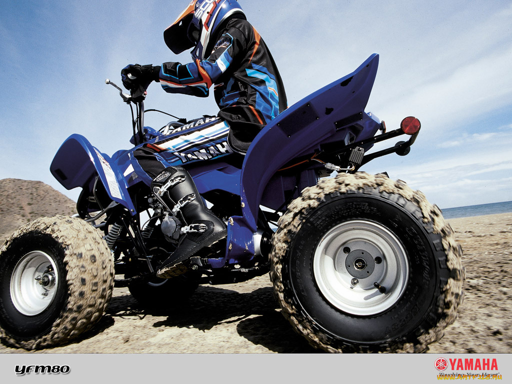 yfm80, мотоциклы, квадроциклы