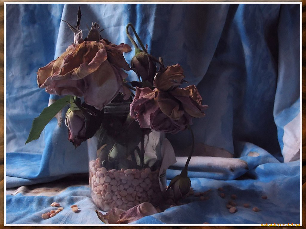 skorlypka, печаль, когда, тебе, грустно, цветы, розы