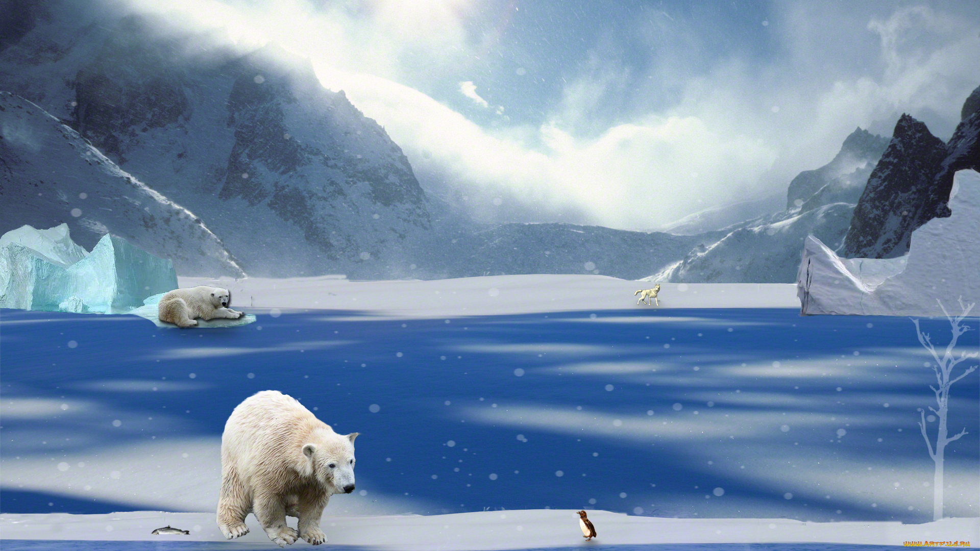 3д, графика, animals, животные