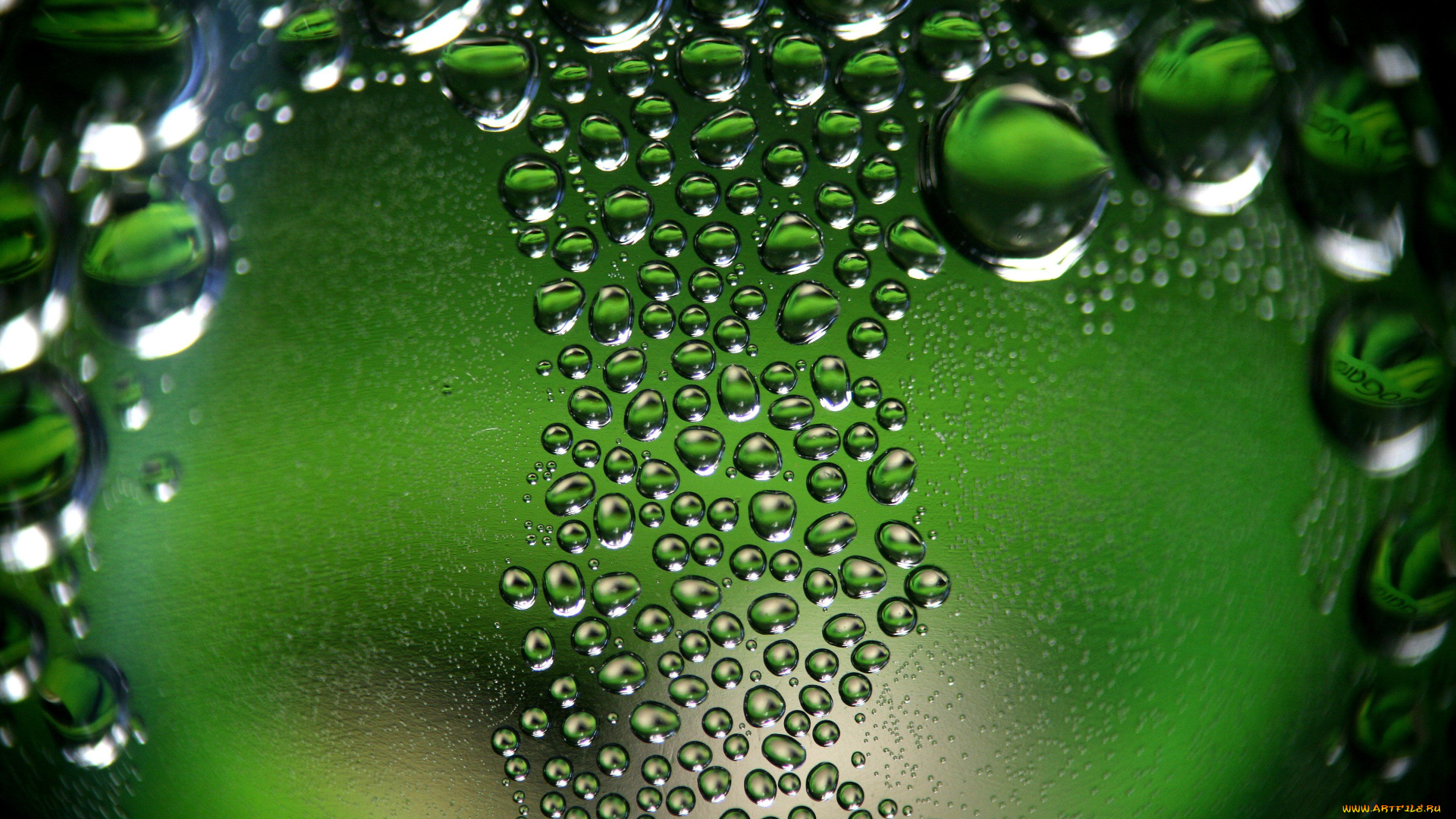 природа, макро, капли