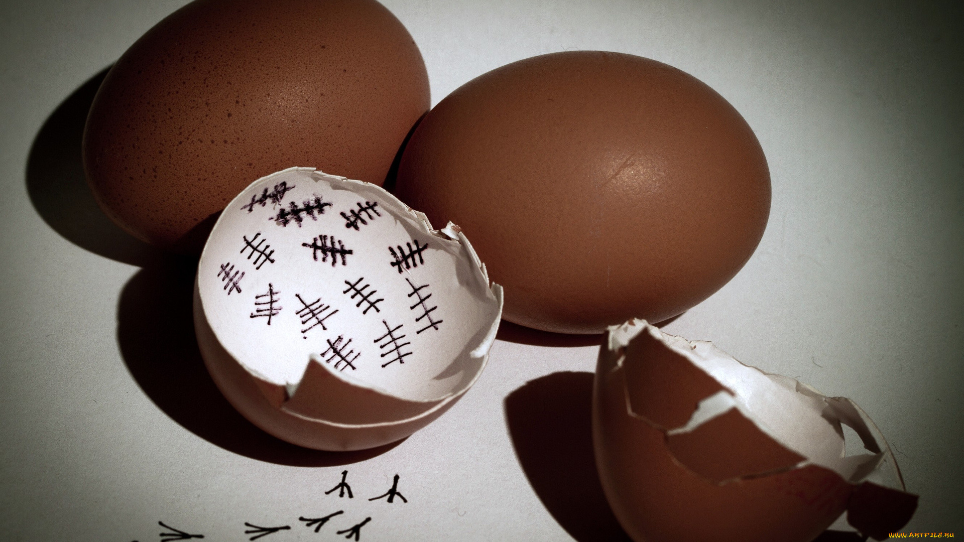 юмор, приколы, скорлупа, яйца, метки, следы