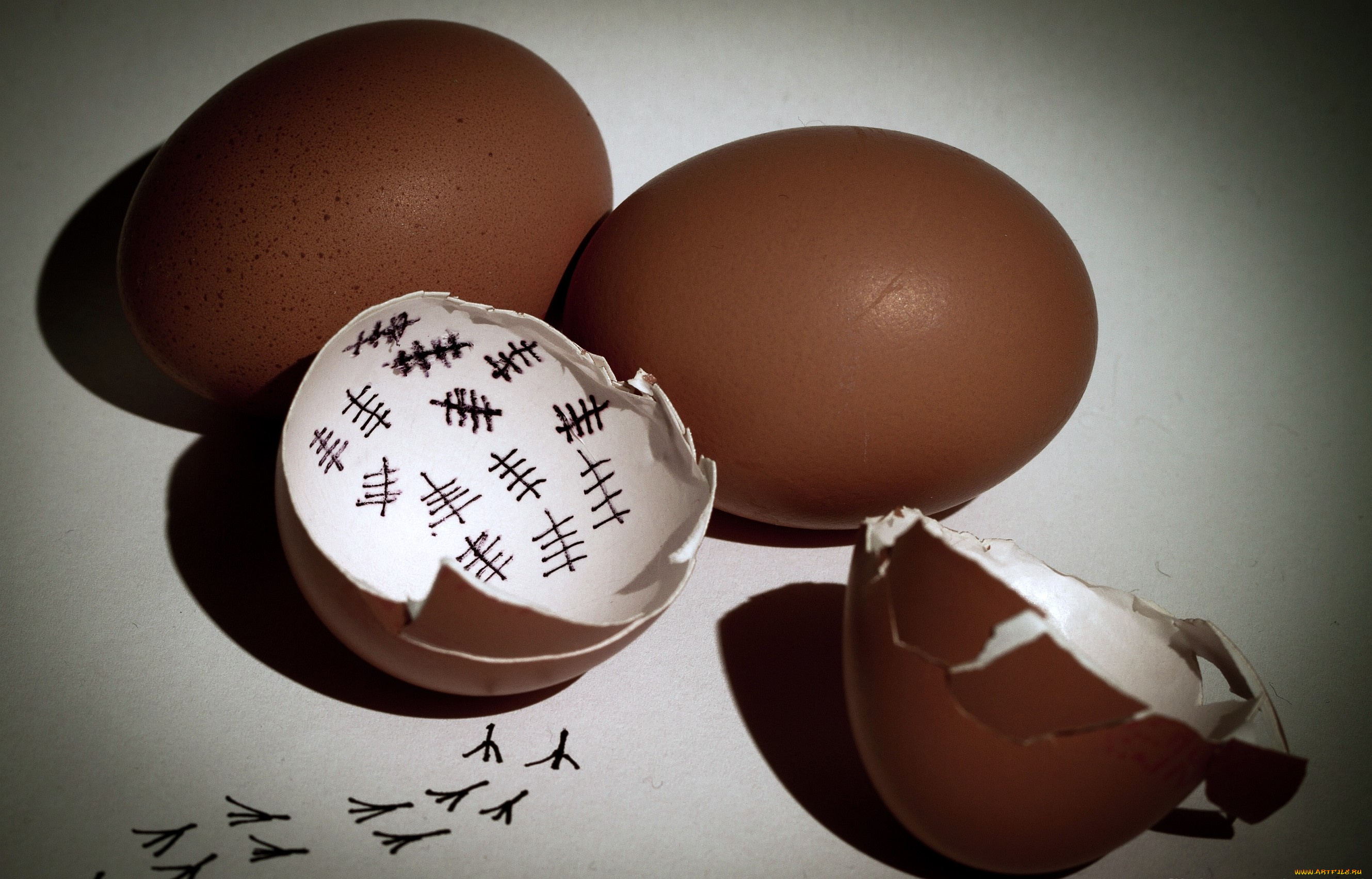 юмор, приколы, скорлупа, яйца, метки, следы