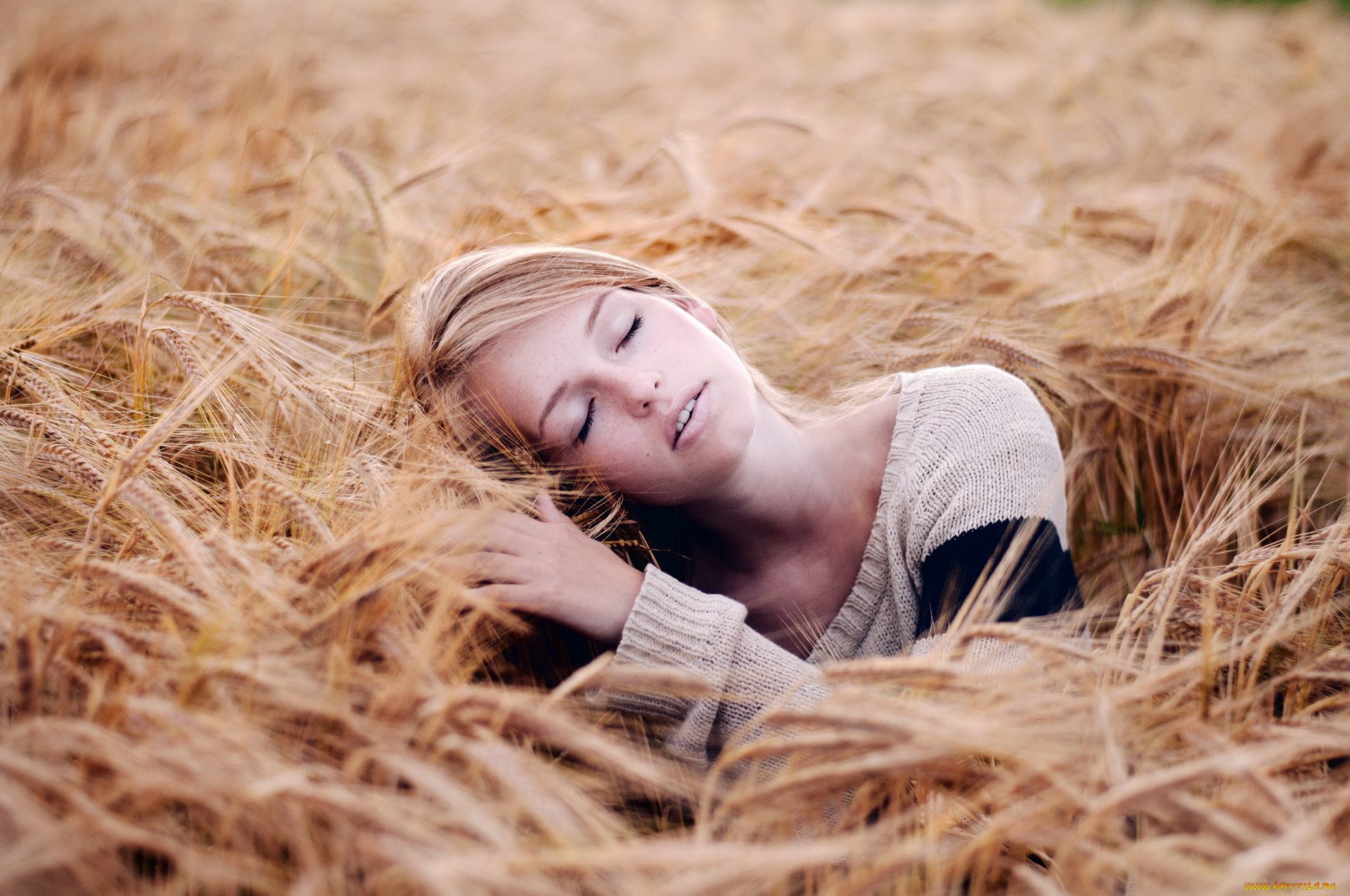 -Unsort, Блондинки, девушки, unsort, блондинки, поле