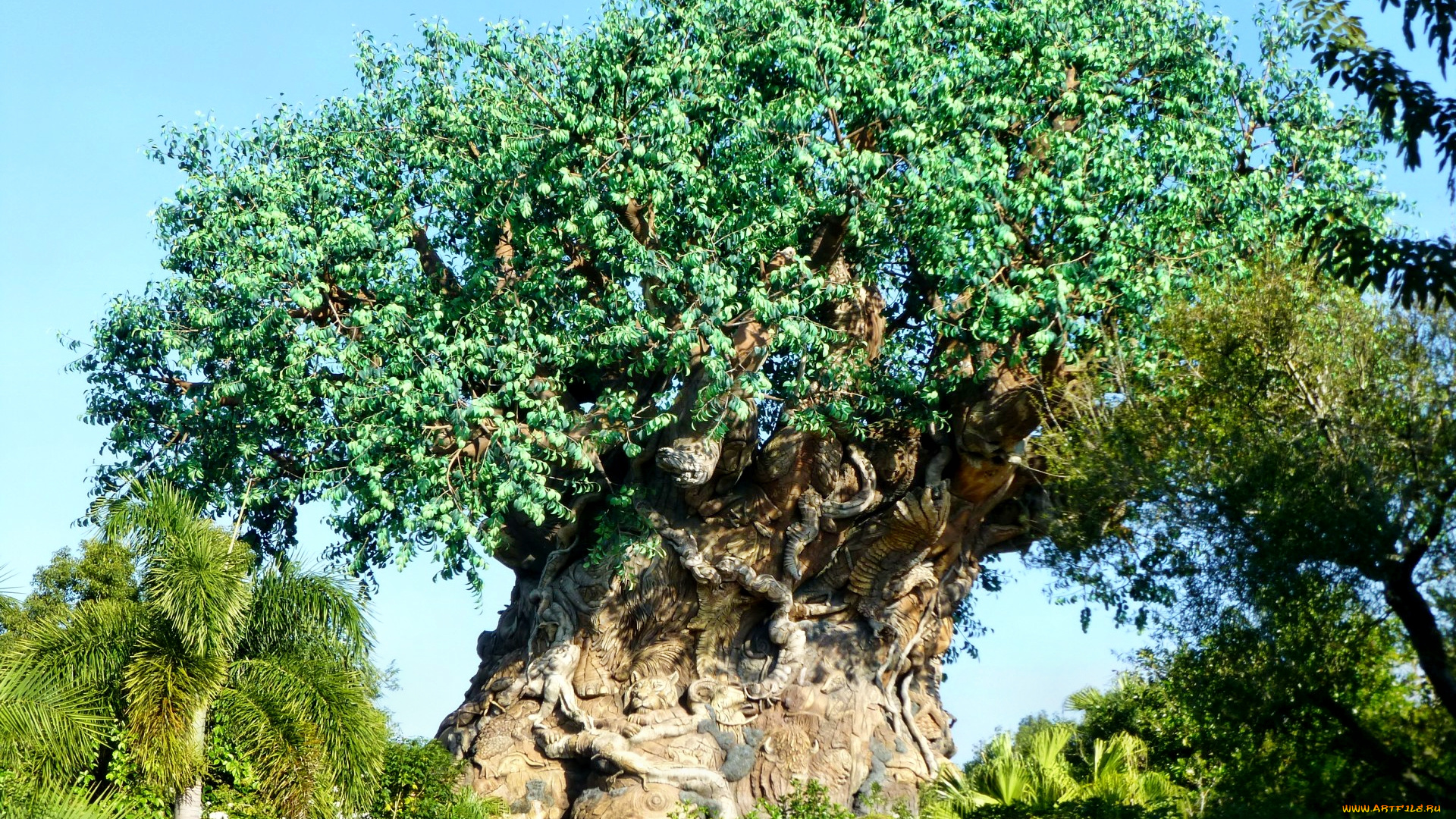 disney`s, animal, kingdom, tree, of, life, природа, деревья, парк, дерево, крона, корни, фигурки