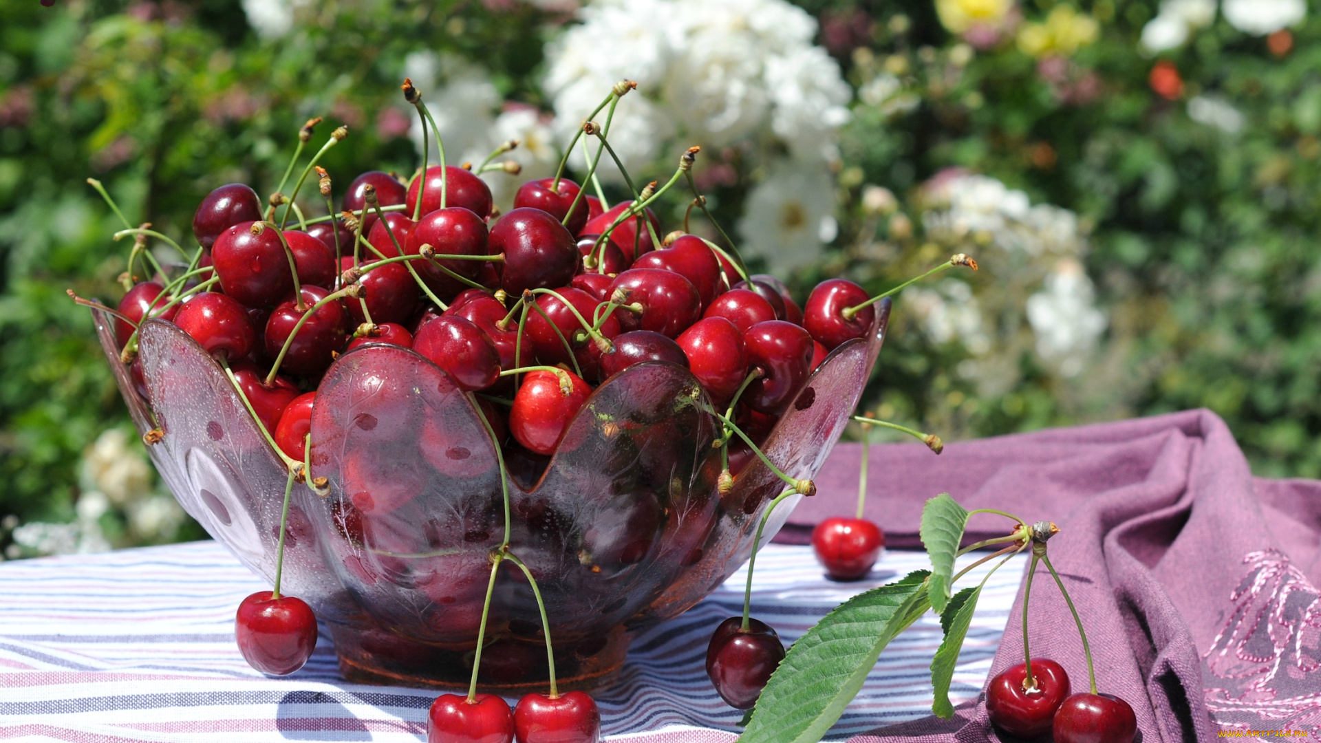 еда, вишня, черешня, миска, лето