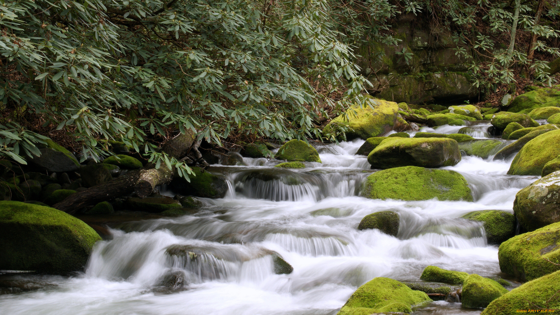 gatlinburg, tennessee, природа, реки, озера, теннесси, река, камни, лес, гатлинбург