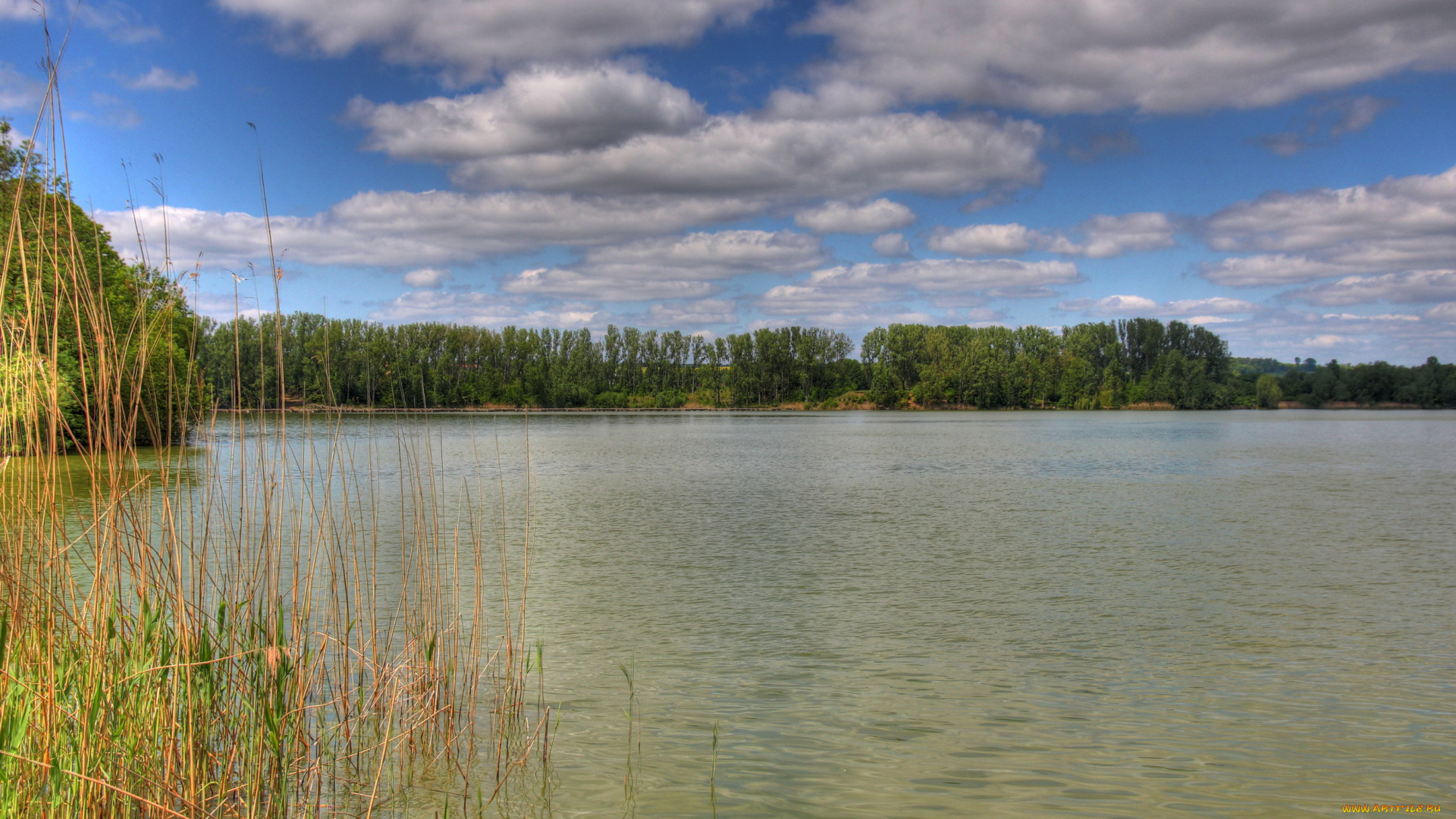 германия, вёльферсхайм, природа, реки, озера, река, камыши