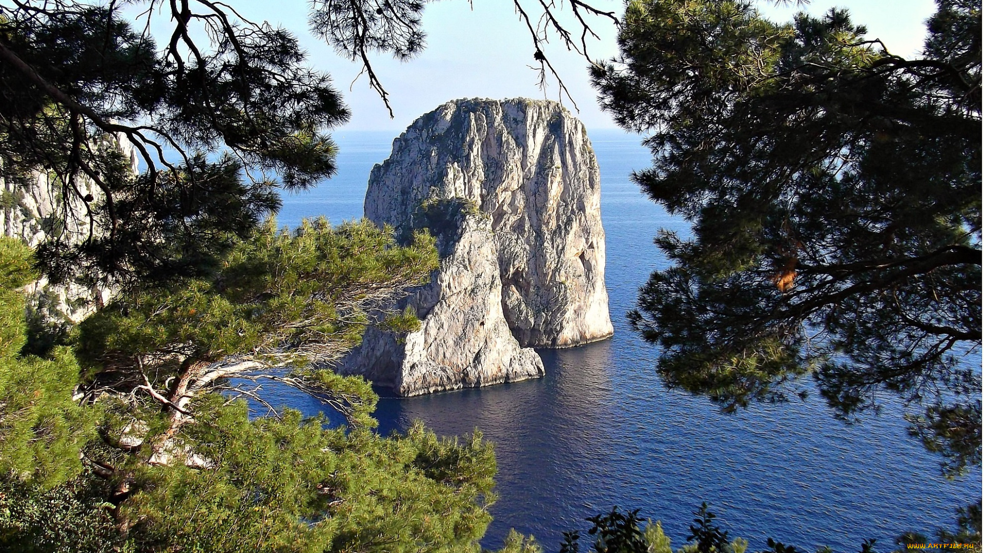 капри, природа, побережье, деревья, море, скалы