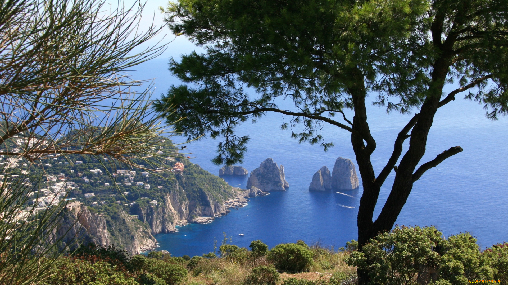 monte, solara, природа, побережье, панорама, деревья, бухта, море, скалы