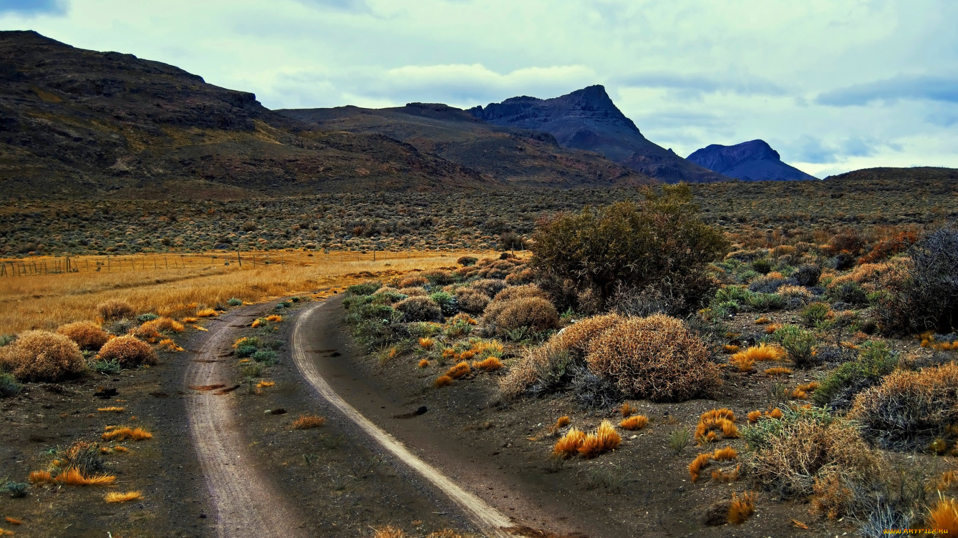 природа, дороги, пустыня, холмы, трава, кусты, колея