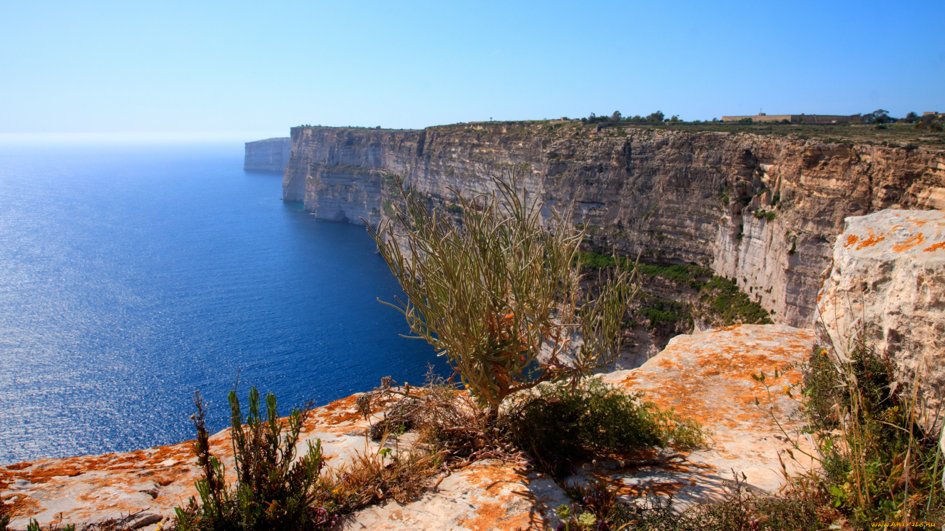 природа, побережье, море, береговая, линия, скалы