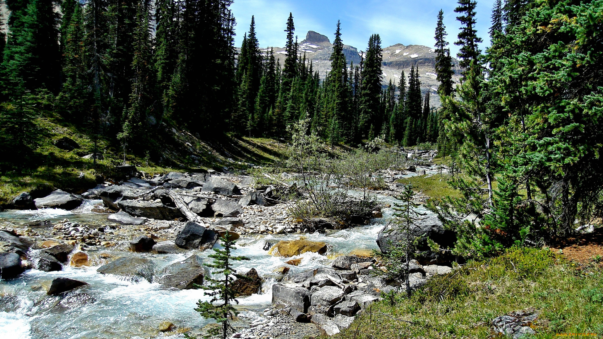 природа, реки, озера, лес, горы, речка, камни, деревья, кустарник, поток