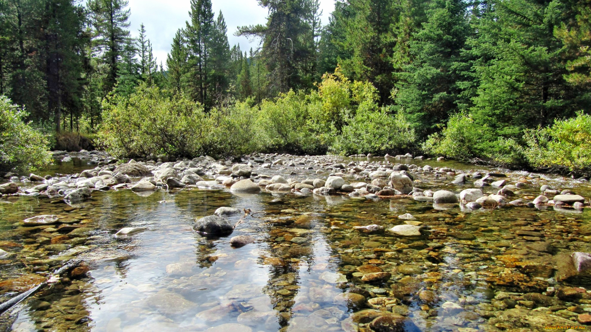 природа, реки, озера, лес, речка, камни, деревья, кустарник