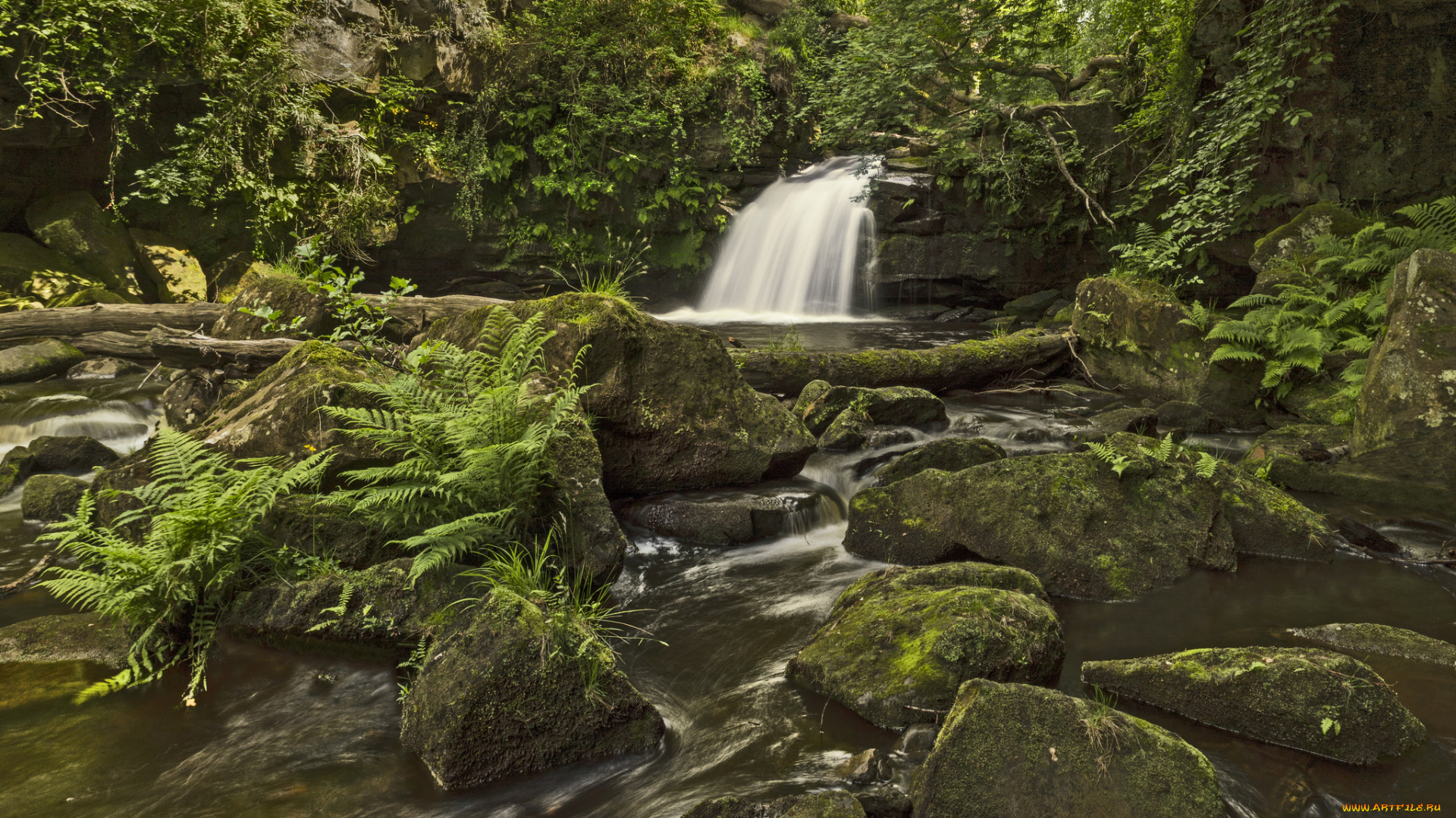 thomason, foss, waterfall, england, природа, водопады, папоротник, камни, лес, река, англия
