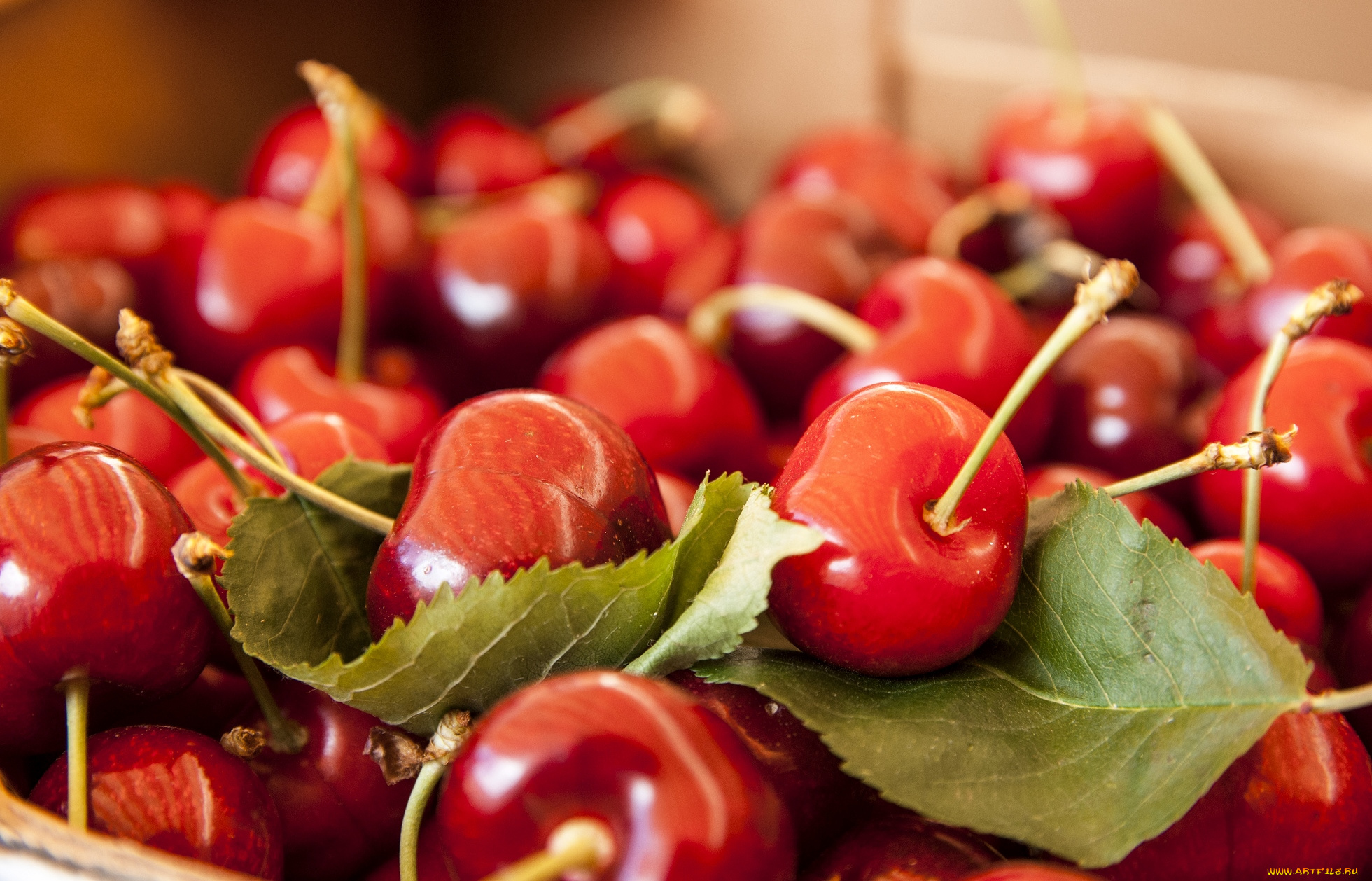 еда, вишня, черешня