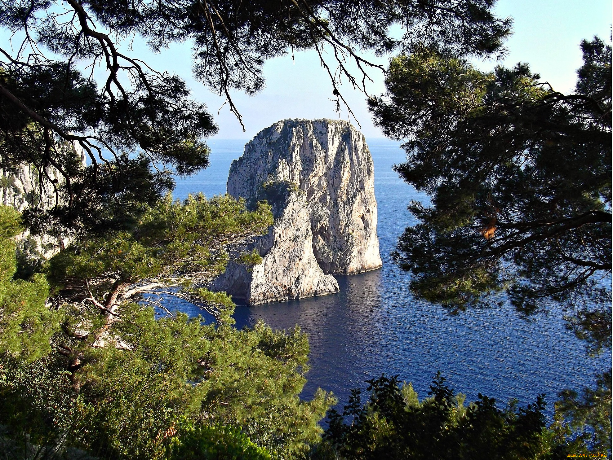 капри, природа, побережье, деревья, море, скалы