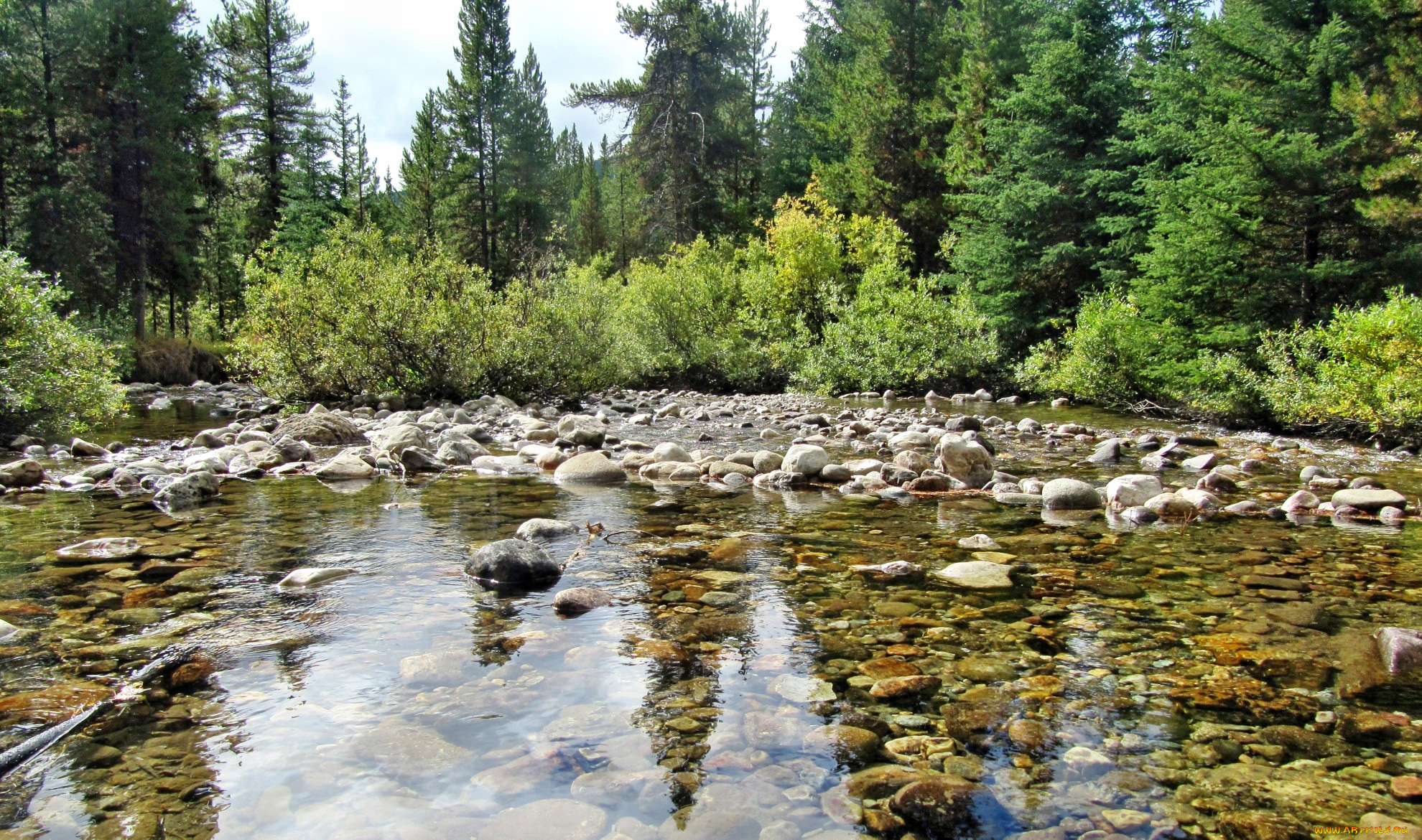 природа, реки, озера, лес, речка, камни, деревья, кустарник