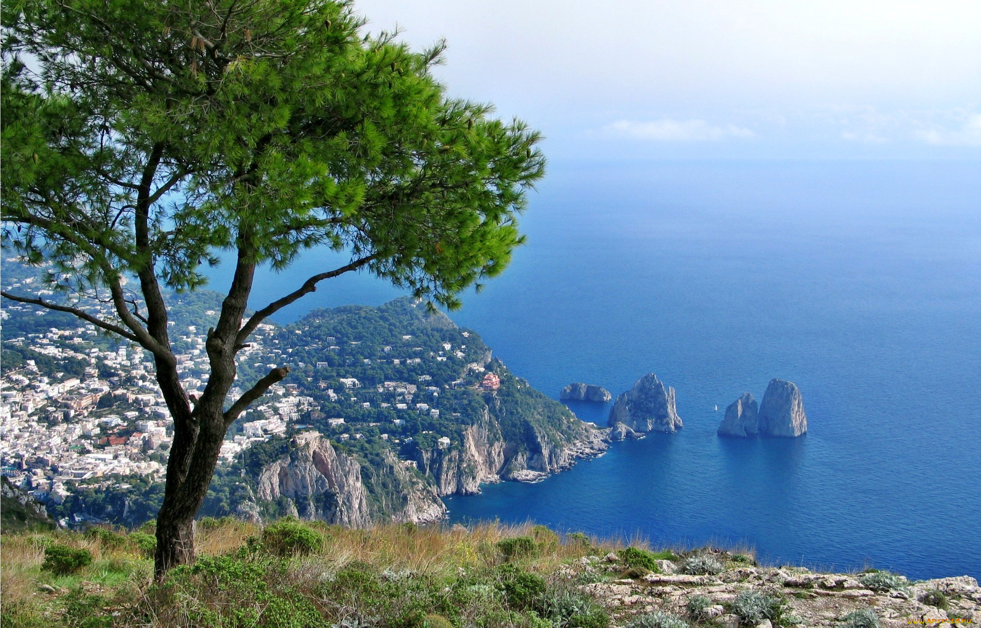 capri, природа, побережье, скалы, дерево, панорама, горы, горизонт, море