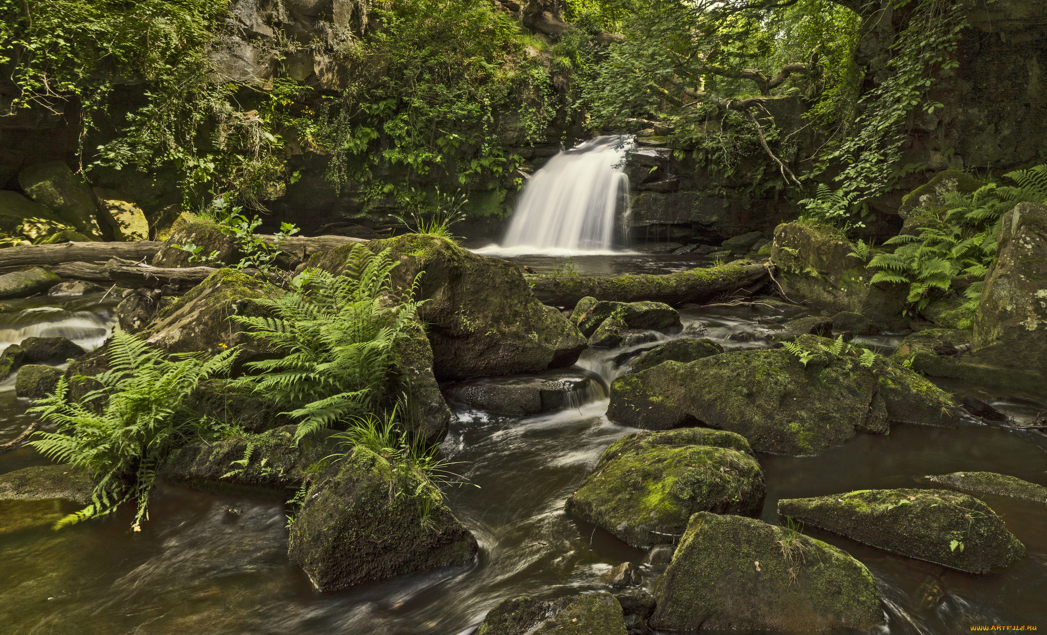 thomason, foss, waterfall, england, природа, водопады, папоротник, камни, лес, река, англия