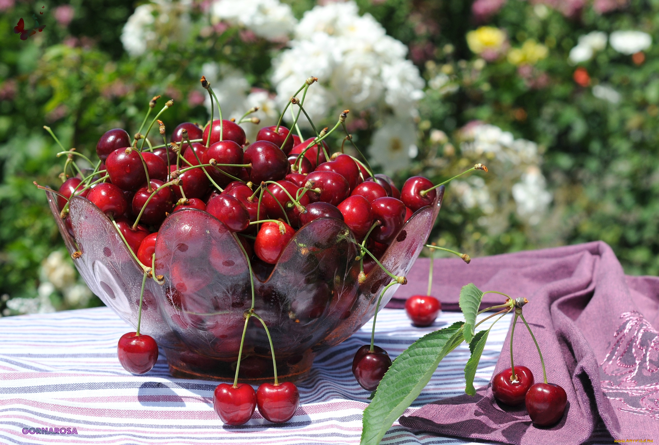 еда, вишня, черешня, миска, лето