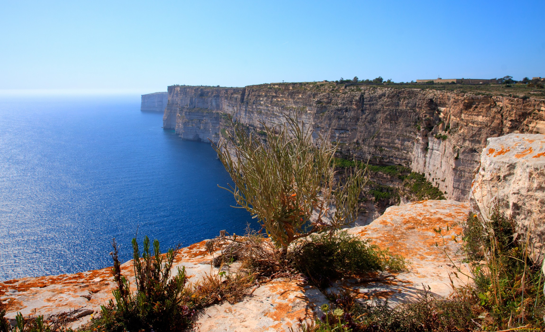 природа, побережье, море, береговая, линия, скалы